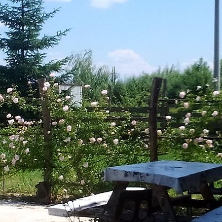 Rooms Ma La Karlovac Εξωτερικό φωτογραφία
